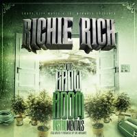 Artwork for The Grow Room (Instrumentals) by Richie Rich