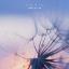 Artwork for Cross A Line
