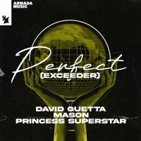 Artwork for Perfect (Exceeder) by David Guetta