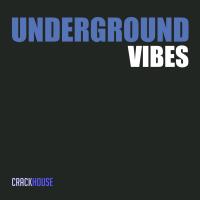 Artwork for Underground Vibes by Various Artists