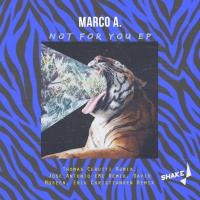 Artwork for Not For You EP by Marcoa.