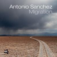 Artwork for Migration by Antonio Sanchez