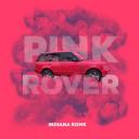 Artwork for Pink Rover