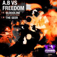 Artwork for Bloodline (Rikki Arkitech Remix) / The Seer by A B