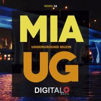 Artwork for Miami Underground Muzik Series 12 by Various Artists