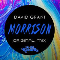 Artwork for Morrison by David Grant