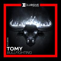 Artwork for Bullfighting by TOMY