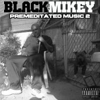 Artwork for Premeditated Music 2 by Black Mikey