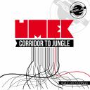 Artwork for Corridor To Jungle (Original Mix)