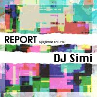 Artwork for Report by Dj Simi