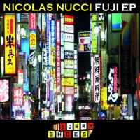 Artwork for Fuji EP by Nicolas Nucci