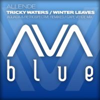 Artwork for Tricky Waters / Winter Leaves by Allende