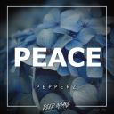 Artwork for Peace (Original Mix)