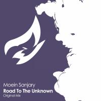 Artwork for Road To The Unknown by Moein Sanjary