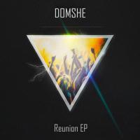 Artwork for Reunion EP by Domshe