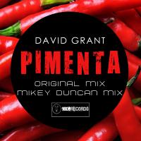 Artwork for Pimenta by David Grant