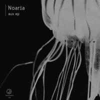 Artwork for Aux EP by Noaria