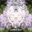 Artwork for Pistilo (Original Mix)