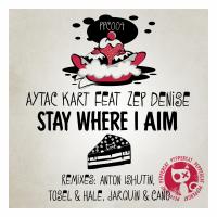 Artwork for Stay Where I Aim by Aytac Kart