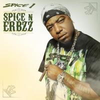 Artwork for Spice N Erbzz by Spice 1