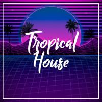 Artwork for Tropical House by Ibiza Sunset