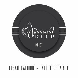 Artwork for Into The Rain (Original Mix)