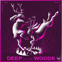 Artwork for Deep In The Woods by Jero Nougues