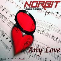 Artwork for Any Love by Norbit Housemaster