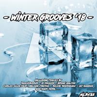 Artwork for Winter Grooves '18 by Various Artists