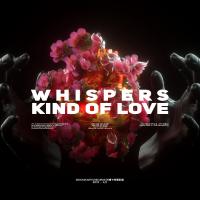 Artwork for Kind Of Love by Whispers