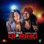 Artwork for Di Ring (Instrumental) (feat. Mitymaose, Johnny Velvet & Ray Keys)