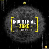 Artwork for Industrial Zone by Bob Ray