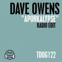 Artwork for Aporkalypse (Radio Edit) by Dave Owens