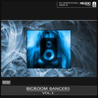 Artwork for Bigroom Bangers, Vol. 1 by Various Artists