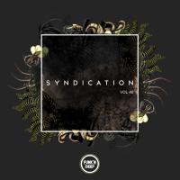 Artwork for Syndication, Vol. 40 by Various Artists