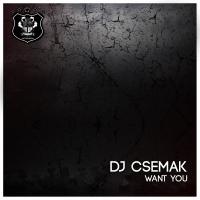 Artwork for Want You by DJ Csemak