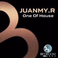 Artwork for One Of House by Juanmy.R