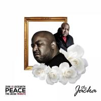 Artwork for Peace (The Jacka Tribute) by Zion I