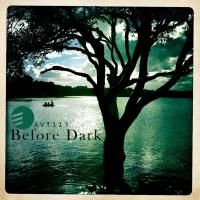 Artwork for Before Dark by Various Artists