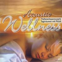 Artwork for Acoustic Wellness by Various Artists