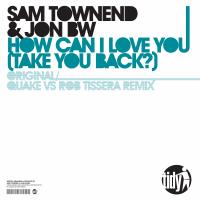 Artwork for How Can I Love You (Take You Back) by Sam Townend