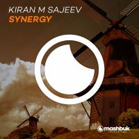 Artwork for Synergy by Kiran M Sajeev