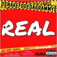 Artwork for Real by DSnake Fooeda Grammys