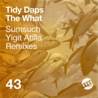 Artwork for The What by Tidy Daps