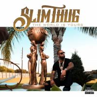 Artwork for The World Is Yours by Slim Thug