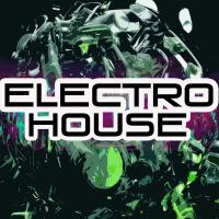 Artwork for Electro House by Various Artists