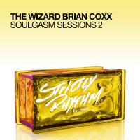 Artwork for Soulgasm Sessions, Vol. 2 by The Wizard Brian Coxx