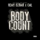 Artwork for Body Count