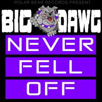 Artwork for Never Fell Off by Big Dawg