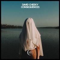 Artwork for Consequences by David Cheeky